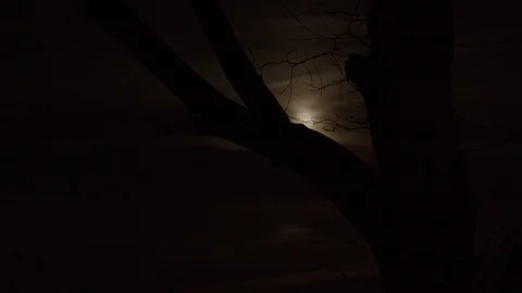 Full Moon Timelapse Through Clouds and Tree Stock Footage 127267685