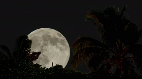 Full Moon Timelapse in Tropics Stock Footage 65274604
