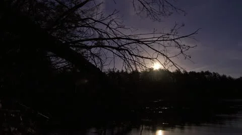 Full Moon with Trees Stock Footage 20545885