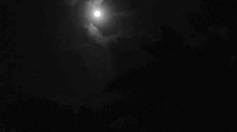 Full moon tropical 1 HD Stock Footage 7901366