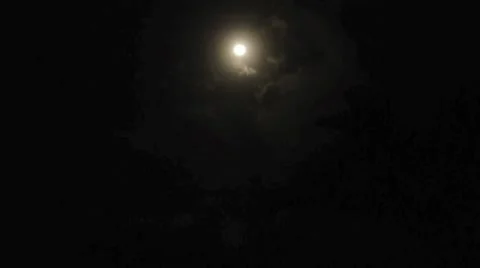 Full moon Tropical 3 HD Stock Footage 7901377
