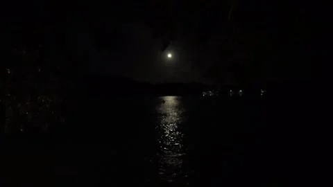 Full moon view from a seaside bungalow Stock Footage 321260119