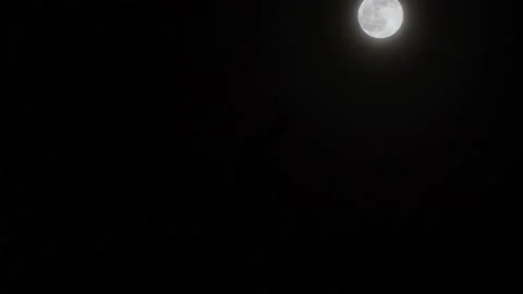 Full Moon With View Of Statue On Top Deutscer Cathedral, Berlin Stock-Footage 147631461