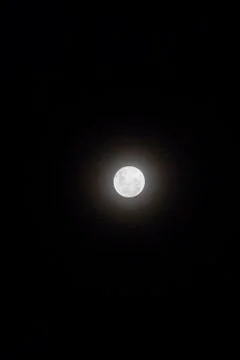 Full Moon visible in the sky. Stock Photos