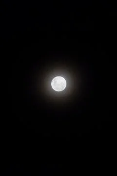 Full Moon visible in the sky. Stock Photos