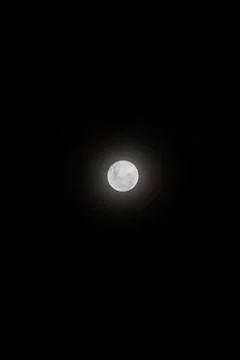 Full Moon visible in the sky. Stock Photos