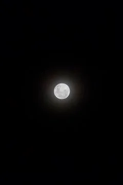 Full Moon visible in the sky. Stock Photos