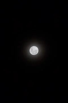 Full Moon visible in the sky. Stock Photos