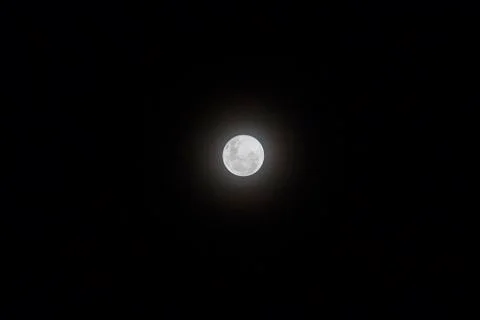 Full Moon visible in the sky. Stock Photos