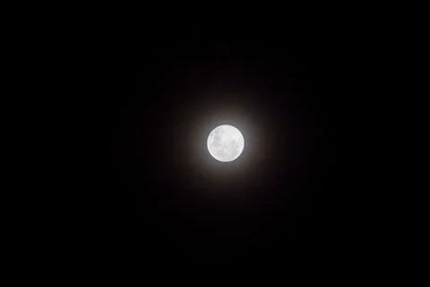Full Moon visible in the sky. Stock Photos