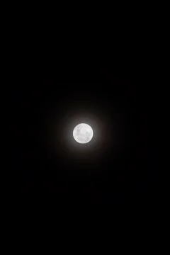 Full Moon visible in the sky. Stock Photos