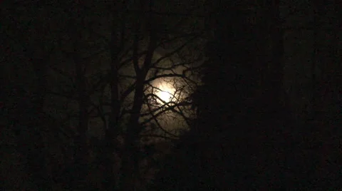 Full Moon Zoom In Close Up Stock Footage 36679156