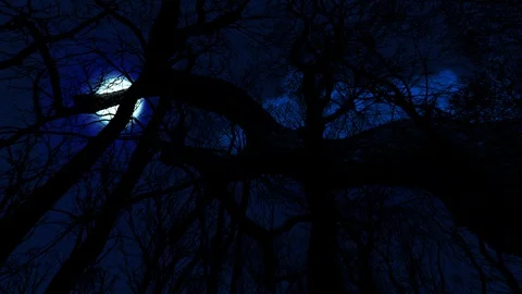 Full Moonrise Through The Clouds On Dark Blue Night Sky Stock Footage 128295236