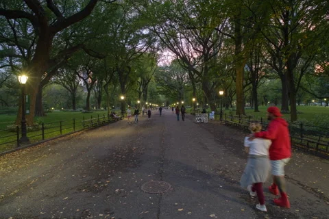 Full Moonset Hyperlapse Central Park Mall (1 of 2) Stock Footage 163561172