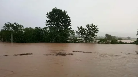Full of muddy water in river in rainy season, Thailand Stock Footage 248269256