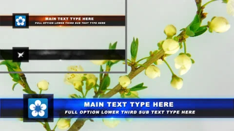 Full Option Lower Third Stock After Effects