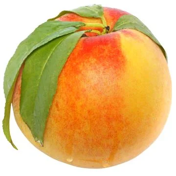 Full peaches with leaf close up Stock Photos