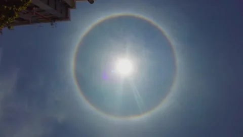 Full rainbow circular sun halo in blue sky under tree and apartment complex Stock Footage 160439258