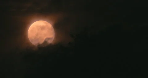 Full red moon moves through the night sky, accompanied by small clouds. Video stock 136555986