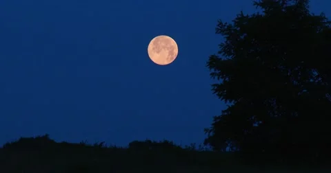 Full Red Moon at night- 4k Stock Footage 64997228
