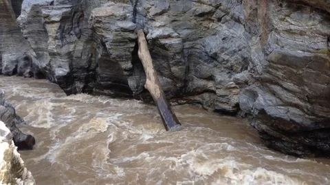 Full river flows in thailand park Video stock 71668451