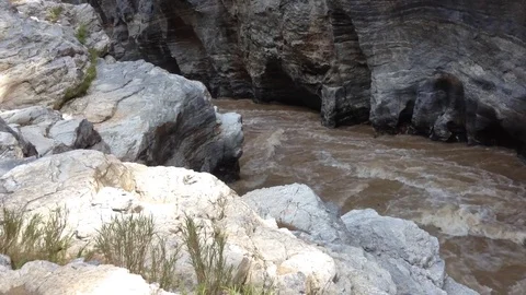 Full river flows in thailand park Video stock 71668588