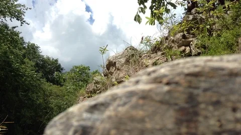 Full river flows in thailand park Video stock 71668598