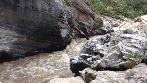 Full river flows in thailand park Video stock 71669105