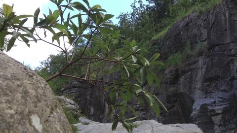 Full river flows in thailand park Video stock 71669119