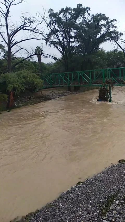 Full river 動画素材 144135023