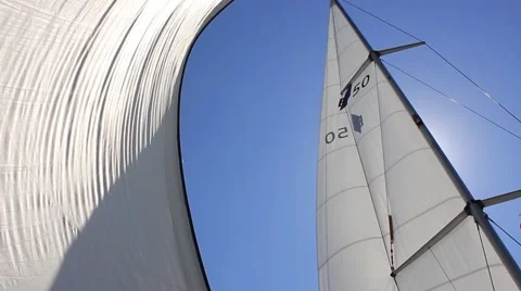 Full sails on open sea Stock Footage 49131432