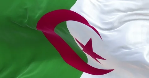 Full Screen Algeria Flag is Waving Slowly Stock Footage 88521912