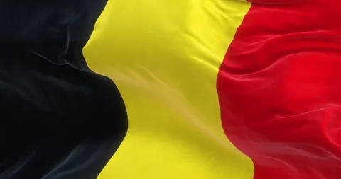 Full Screen Belgium Flag is Waving Slowly Stock Footage 85632269