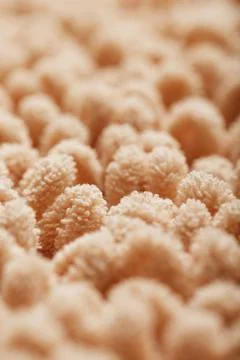 Full screen brown wool loop texture as background. Foto stock