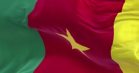 Full Screen Cameroon Flag is Waving Slowly Stock Footage 88524952