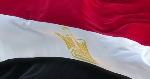 Full Screen Egyptian Flag is Waving Slowly Stock Footage 88532076
