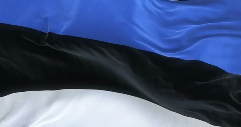 Full Screen Estonia Flag is Waving Slowly Stock Footage 88533070