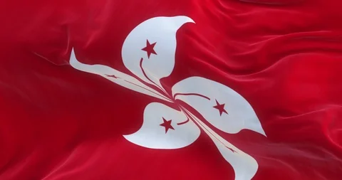 Full Screen Hong Kong Flag is Waving Slowly Stock Footage 88538735
