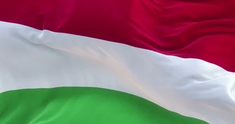 Full Screen Hungary Flag is Waving Slowly Stock Footage 88539731