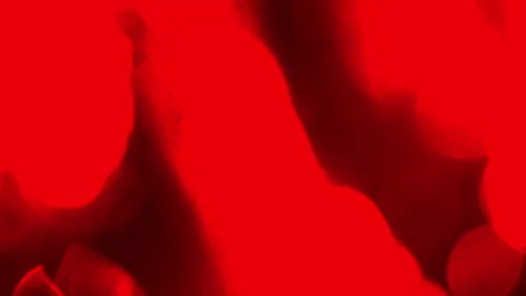 Red Transition Stock Video Footage | Royalty Free Red Transition Videos ...