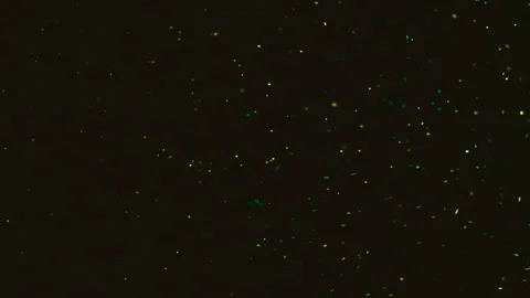 Full screen sparkling glitter particles ... | Stock Video | Pond5