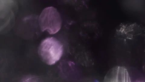 Full screen sparkling purple and white bokeh background Vidéo 317540030