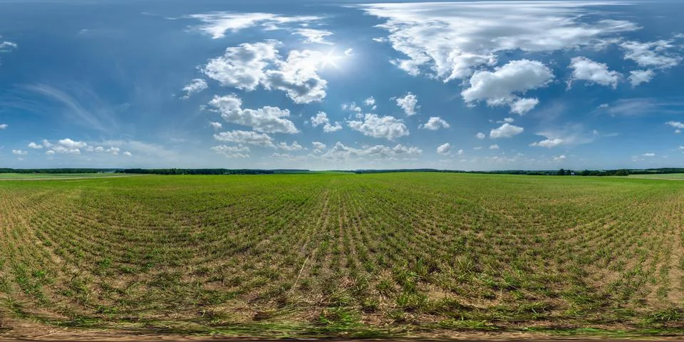 Full seamless 360 hdri panorama view among farming field with sun and clouds  Foto stock