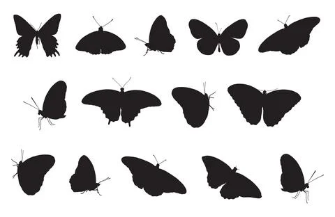 Full set of butterflies silhouettes vector illustration Stock Illustration