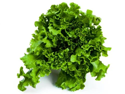 Full shot lettuce Stock Photos
