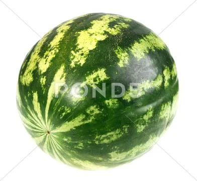 Full single striped green watermelon Stock Photos