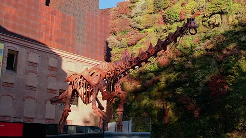 Full-size replica dinosaur exhibition at Caixaforum, Madrid, Spain Stock Footage 302443448