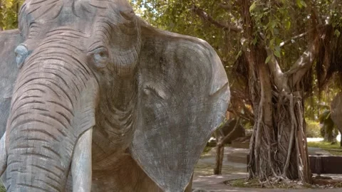 Full size statues of elephants are standing under the rooty branches of banyan Stock Footage 318694058