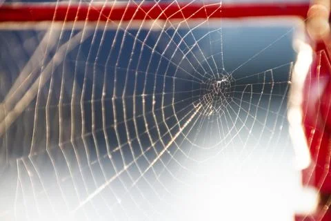 Full Spider Web on Red Metal Faucet for Boats and Ships Stock Photos