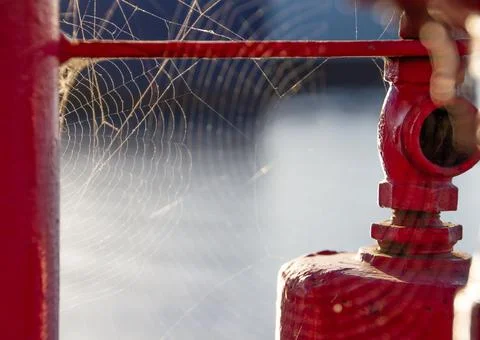 Full Spider Web on Red Metal Faucet for Boats and Ships Stock Photos